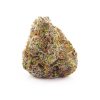 Jungle Cake