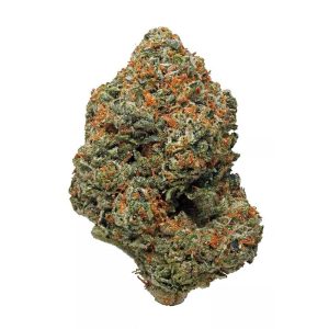 King Louis XIII